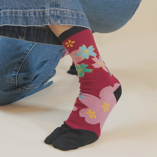 Person wearing colorful floral-patterned socks with a plain background