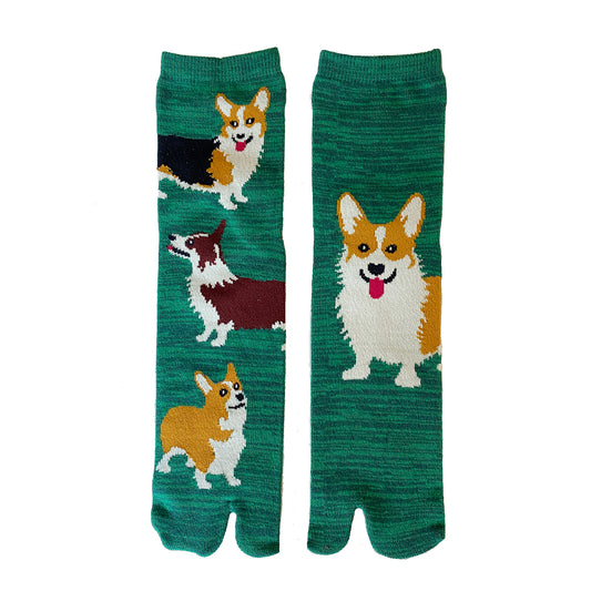 Corgi Dog Tabi Sandal Toe Socks