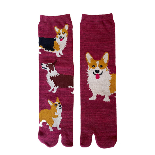 Corgi Dog Tabi Sandal Toe Socks